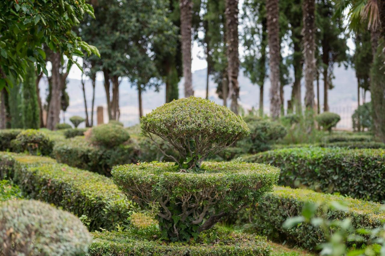 Castilla Termal Брихуега Екстериор снимка
